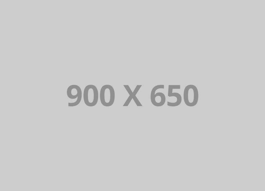 pofo 900x650